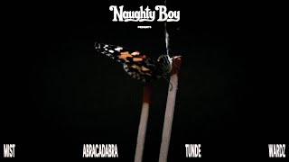 Kadr z teledysku Blow Trees tekst piosenki Naughty Boy feat. MIST, Abra Cadabra, Tunde & Wardz