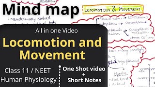 Locomotion And Movement One Shot video NEET Class 11 Best notes revision notes summary notes