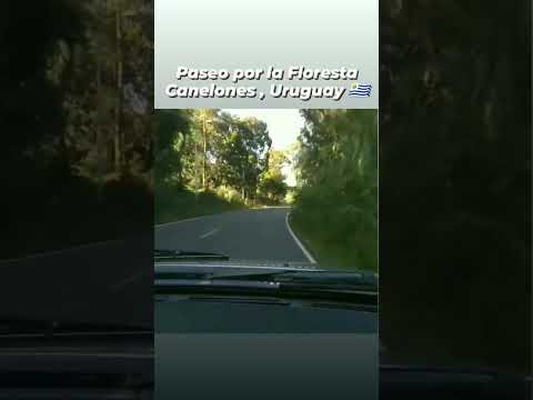 LA FLORESTA URUGUAY 🇺🇾☀️