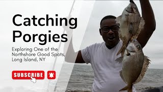 Must-Fish Porgy Location on Long Island, NY - Nice Size Porgies