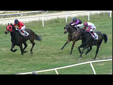 Napoli Galoppo 09/03/2023 - 1ª corsa