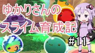 【Slime Rancher】ゆかりさんのスライム育成記#11【VOICE ROID実況】