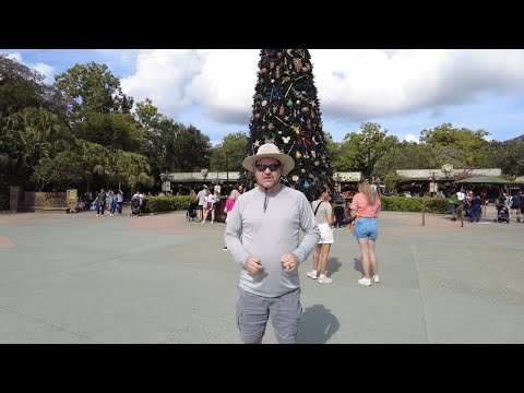 Does Disney's Animal Kingdom have awesome Christmas decorations? Let's go see.