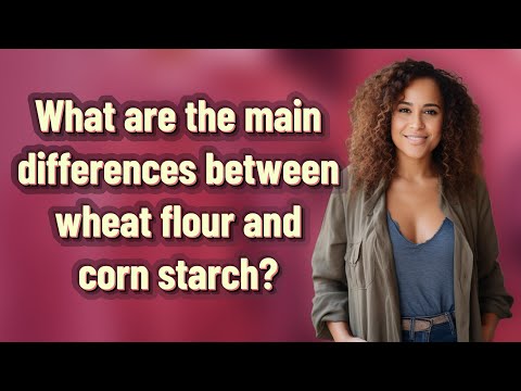 What are the main differences between wheat flour and corn starch?