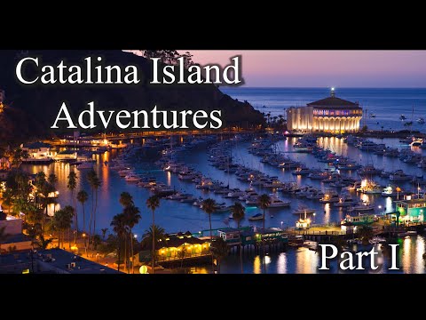 The BEST Fishing Adventures in Catalina Island, California (Catch & Cook) Ep. 1 - Spearfishing -