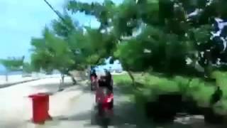 Download lagu Mermaid In Love Season 2.  Segera di SCTV mp3