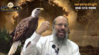 אריה נשר שור אדם | 4 שלבים בעבודת ה' | מרכבה לשכינה