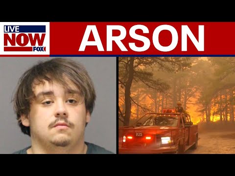 Video | New Jersey wildfire: 19-year-old charged with aggravated arson | LiveNOW from FOX
