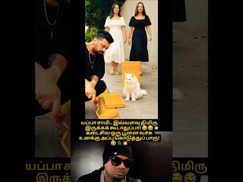 யப்பா சாமி… இவ்வளவு திமிரு இருக்கக் கூடாதுப்பா! 😂😂 கடைசில ஒரு பூனை வச்சு உனக்கு அப்பு🤣🤣