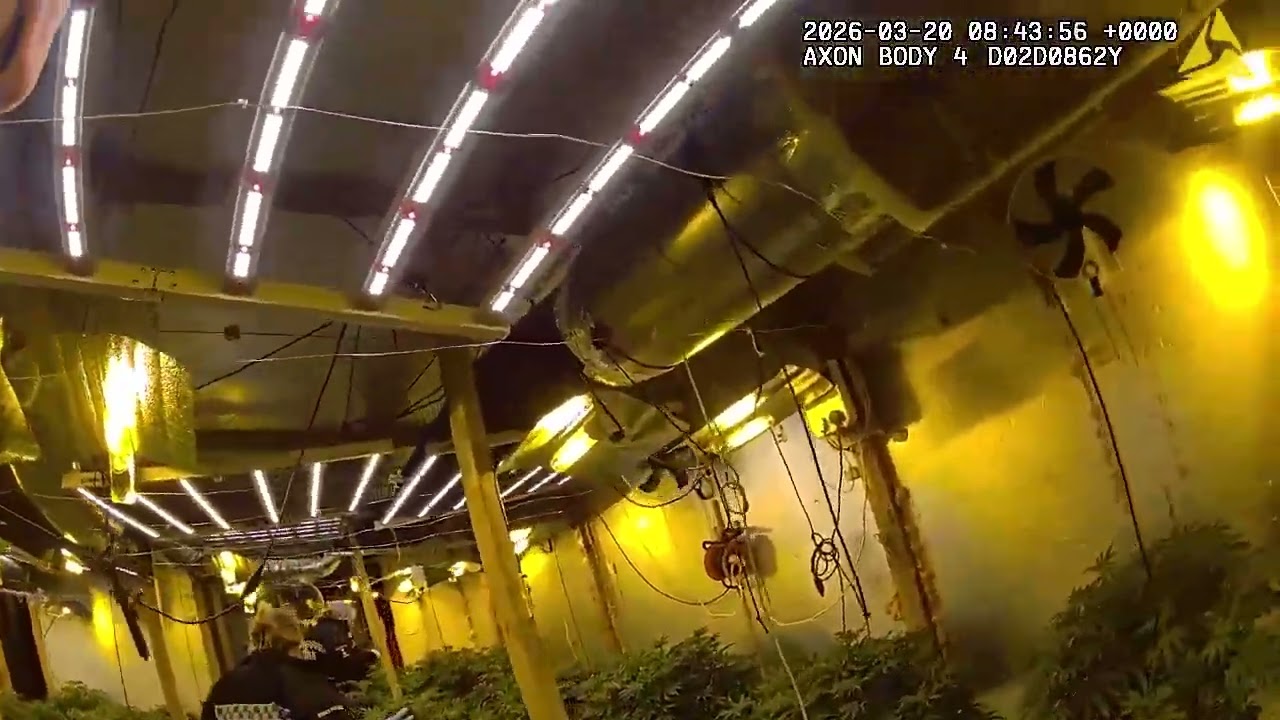 Police discover 1,000 cannabis plants in converted barn