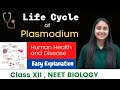 Life Cycle Of Plasmodium Malaria Parasite CLASS XII NEET