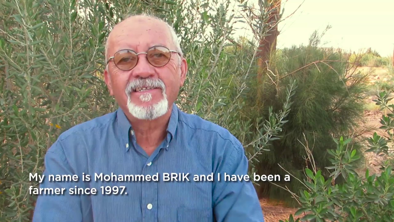 An authentic story from Algeria - The Skills4Future Vloggers videos