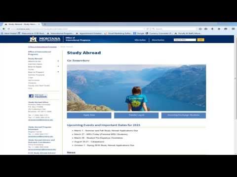 Insider Tips For Maximizing Msu Bozeman Registration Efficiency