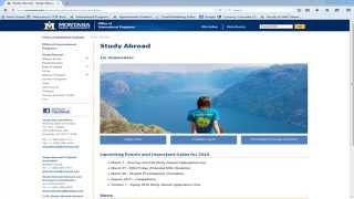 MSU International Travel Registry Guide