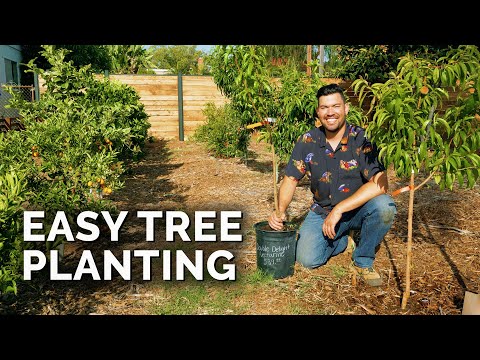 , title : 'How to Plant Fruit Trees: The Complete Guide'