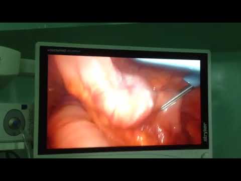 Jaime Caballero-7
