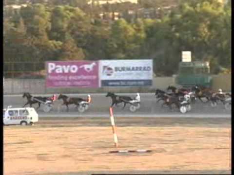 MEETING 37 Date 20 7 2012 PART 1 RACE 1,2,3,4