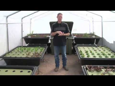 download lagu mp3 mp4 Aquaponics Kits For Sale, download lagu Aquaponics Kits For Sale gratis, unduh video klip Aquaponics Kits For Sale