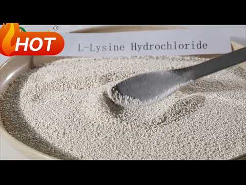 L Lysine HCL
