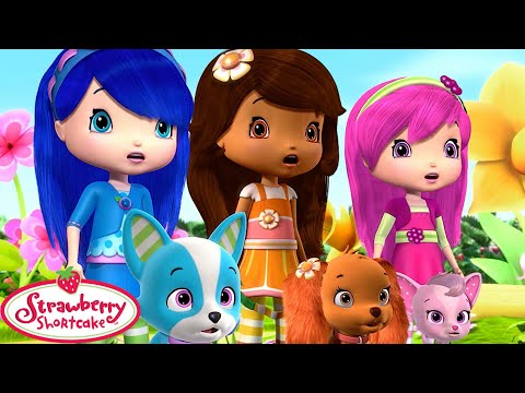 Berry Bitty 🍓 The Mystery of the Disappearing Dogs! 🍓 Cartoons for Kids 🍓 Strawberry Shortcake - Kids TV Series, Kingdom Kids Zone - Strawberry Shortcake - WildBrain