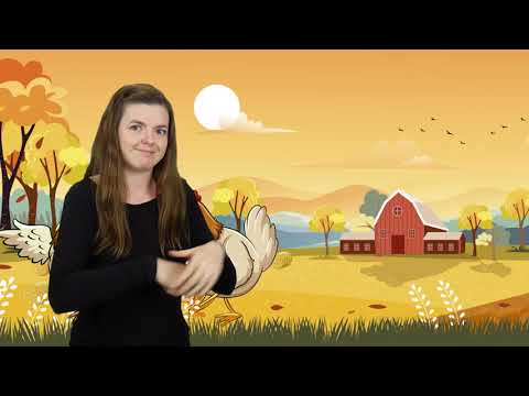 Migane Wiersze 2.0 - BYŁY SOBIE KURKI TRZY czyta Wiktor Zborowski