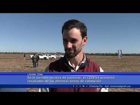 GANADERÍA Y DESARROLLO TECNOLÓGICO EN LAGUNA YEMA