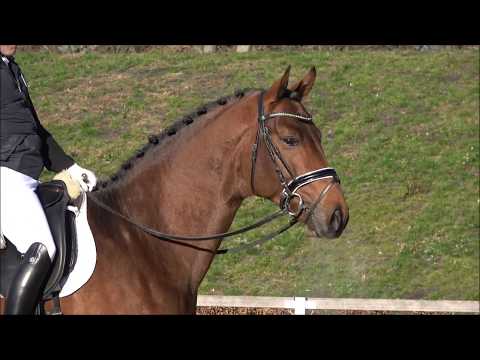 El Salvador v. Escolar - Sandreo