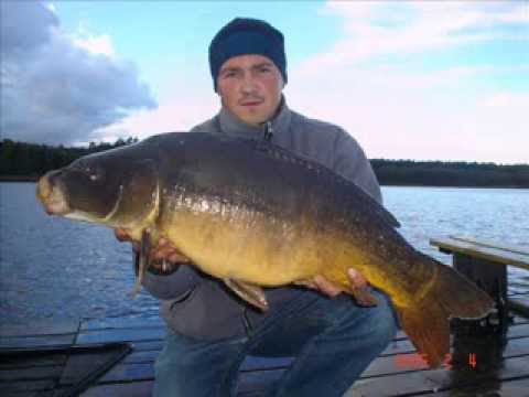 Tuszynek - Carp Team Trójmiasto