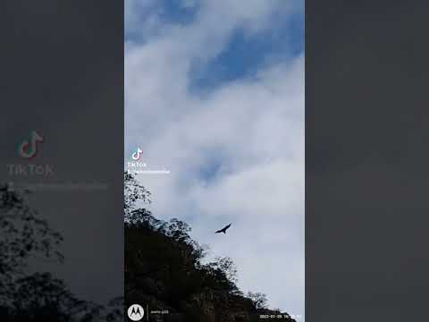 quebrada de Ambil departamento general Ocampo