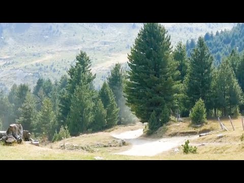 Bjeshka LUGU I GJATË - Reportazh