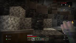 初マイクラ5