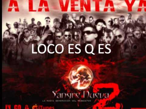 sangre nueva 2 briganti