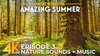 Calm Music & Nature Sounds for Relax & Mindfulness | 4K Collection of Beautiful Summer Scenes - #3