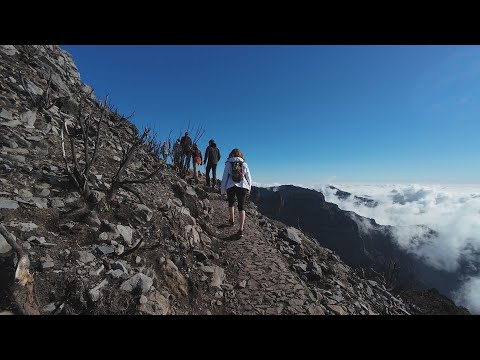 Vereda da Ilha - Pico Ruivo PR1.1
