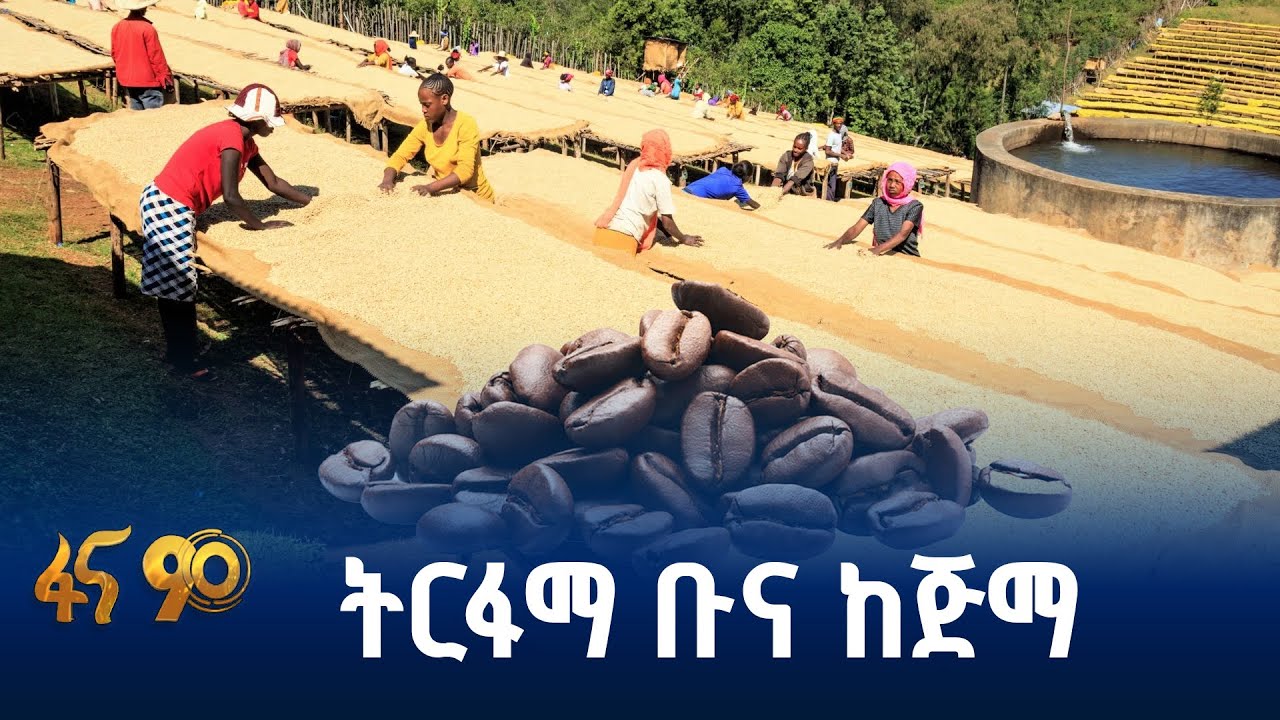 ቡና ላኪ አርሶ አደሮች