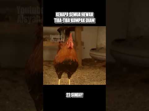 Tiba tiba kompak diam? #shorts #comedy #trending #alurceritafilm