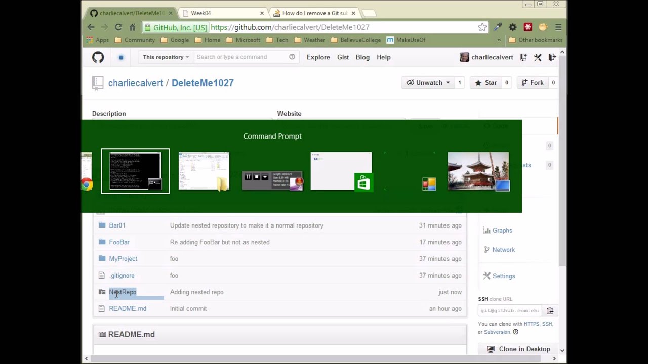 Git Remove Nested Repo