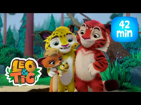 Leo & Tig - Pais adotivos e mais episódios completos  | Desenho infantil ????????