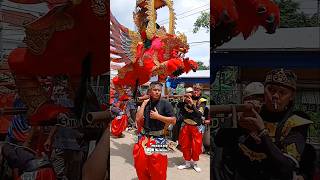 Download lagu angkat singa depok arak arakan #shorts mp3 Download lagu angkat singa depok arak arakan #shorts mp3