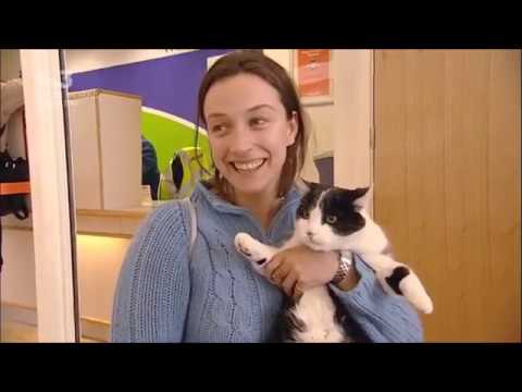 AIRLINE - Crazy Woman Tries To Smuggle Cat In Airport!