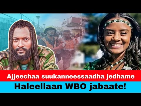 Oduu ganamaa: Ajjeechaan shamarree Oromoo dheekkamsa kaase!