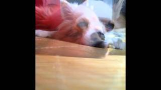 all i have ... song : real life by jeff carson