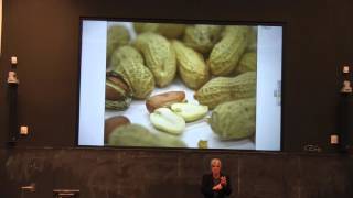 Michael Moss: A Journey into the Underbelly of the Processed Food Industry