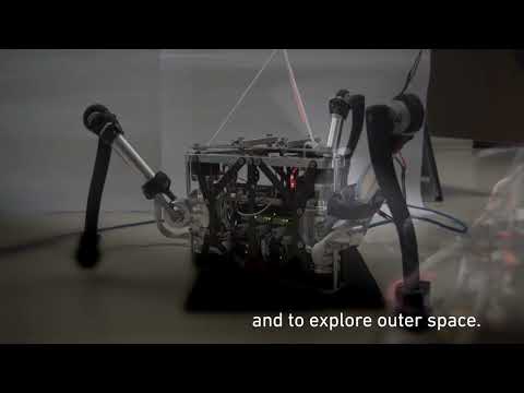 Focus Rollout 2022 Trailer