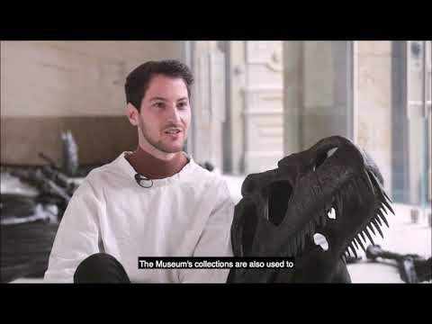 // Um ​​museu ao serviço da comunidade