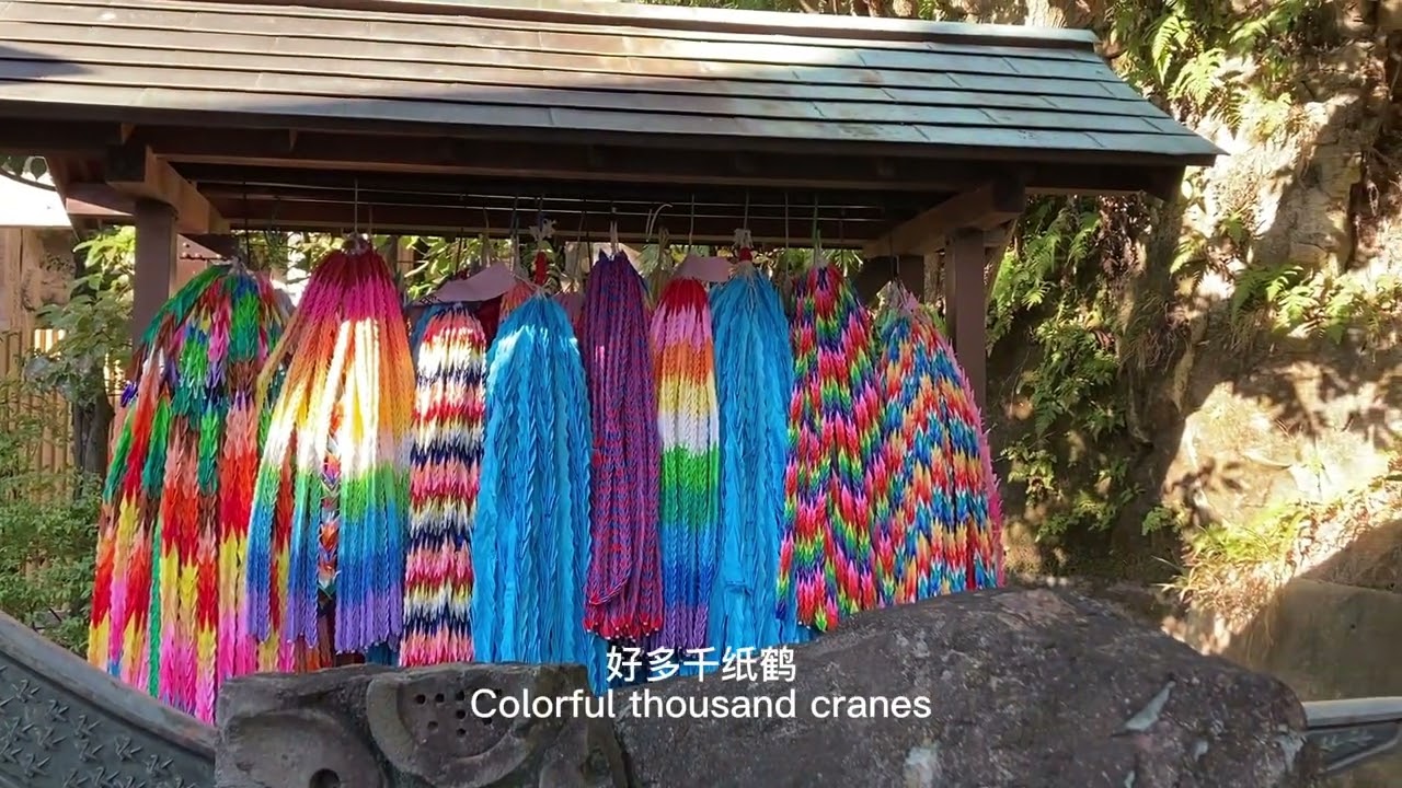 Embark on a virtual tour of Taya Cave.