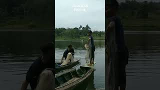 Download lagu Jala ikan ngecrik di bendungan pastinya seru #shorts mp3