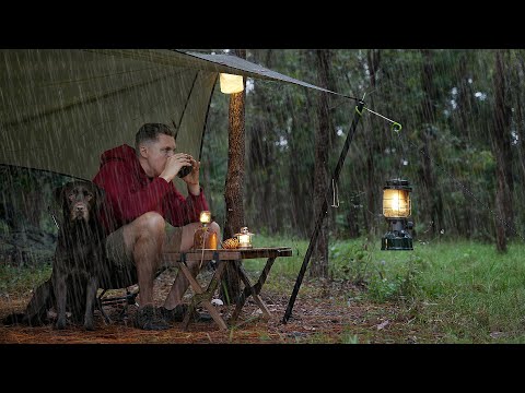 SOLO CAMPING in RAIN [ cozy relaxing Sounds of Rain | tarp shelter | with my Dog | ASMR ]