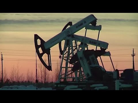 OPECは石油需要の回復がさらに遅くなると見ている (OPEC sees even slower oil demand recovery)