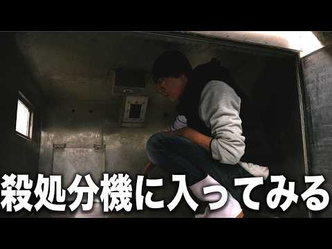 愛護センターの殺処分機の中に入ってみました